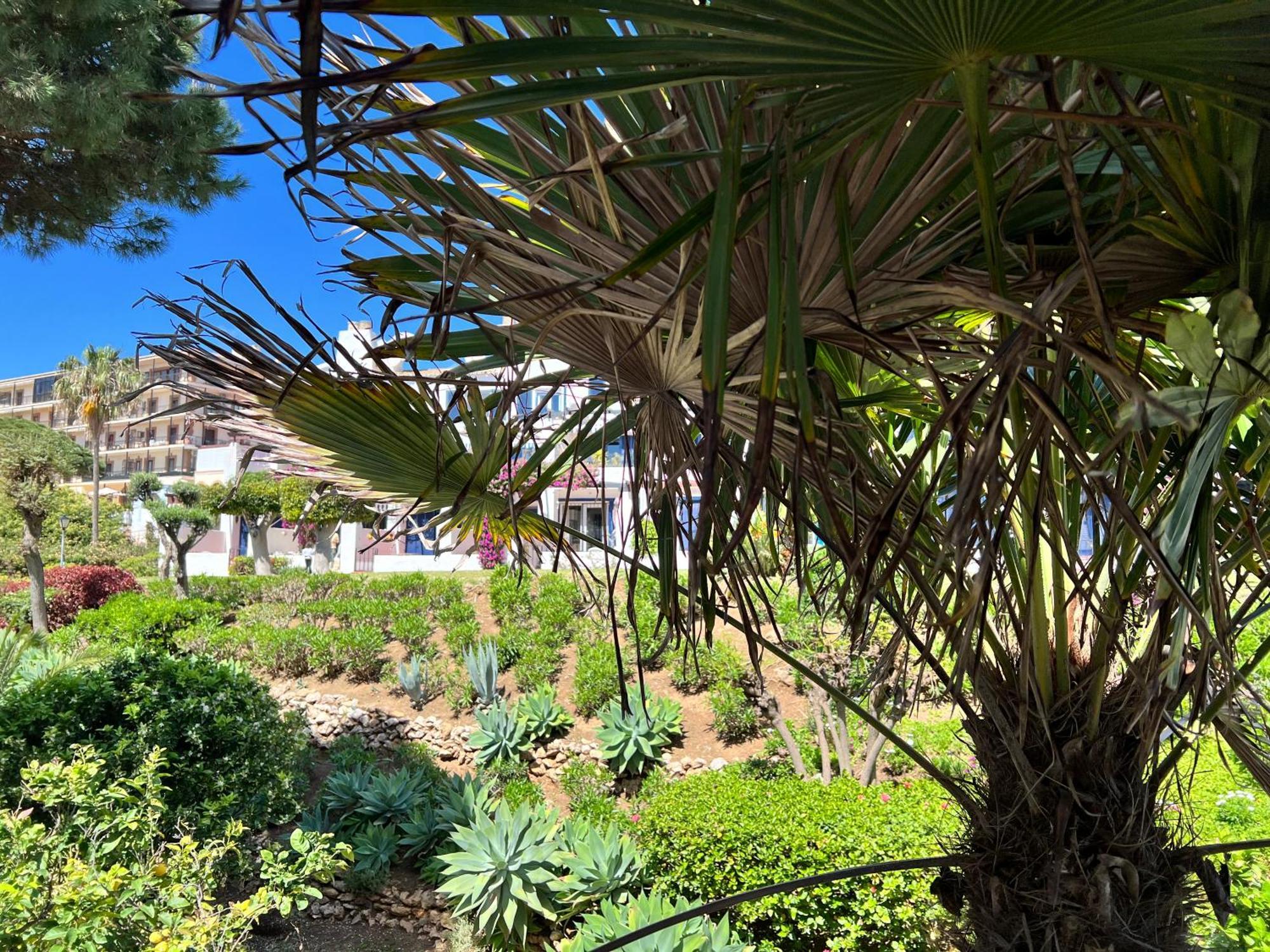 Sitio de Calahonda Newly Renovated 2 Bedroom Beachfront House מראה חיצוני תמונה